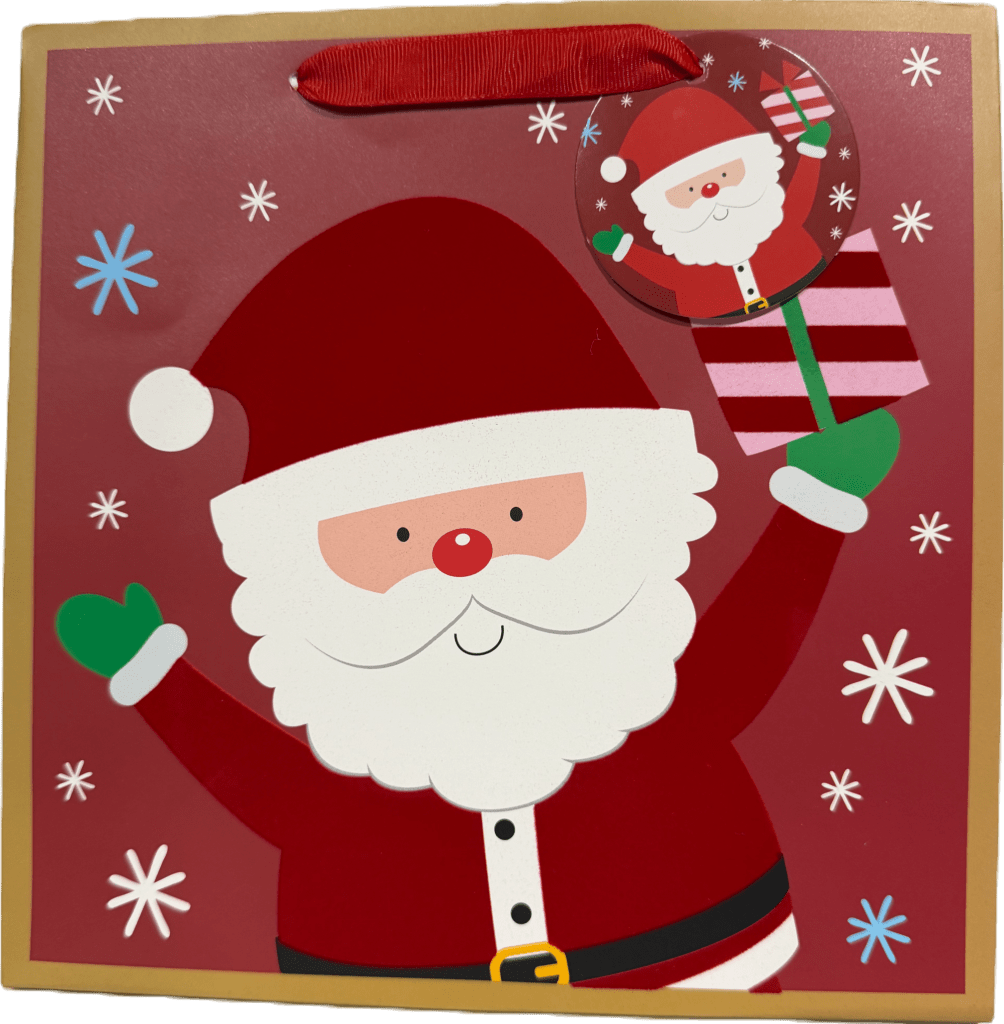 Medium Santa with 1 Present Playful Square Christmas Gift Bag