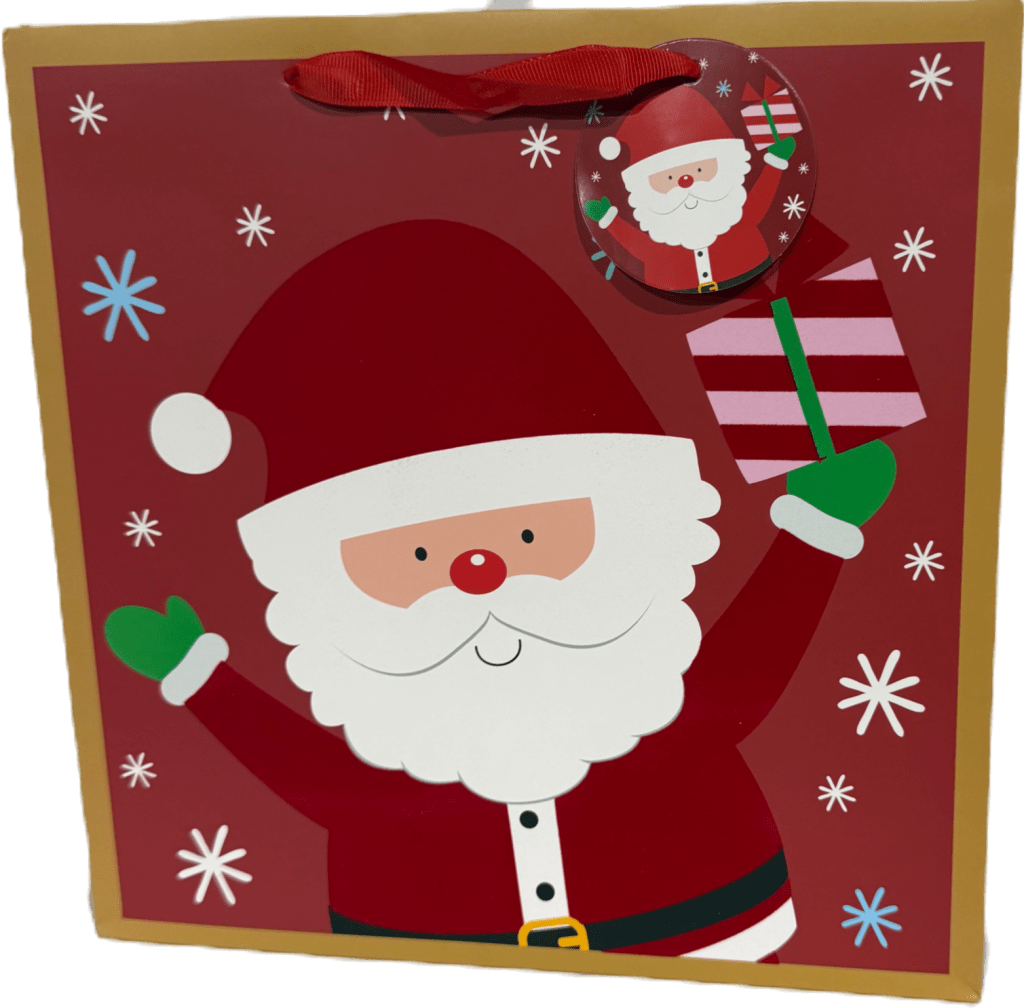 Large Santa with 1 Present Playful Square Christmas Gift Bag Large