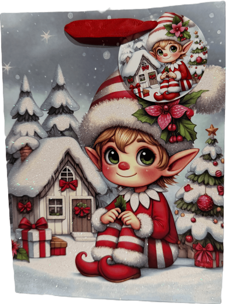 Medium Boy Elf Village Gift Bag